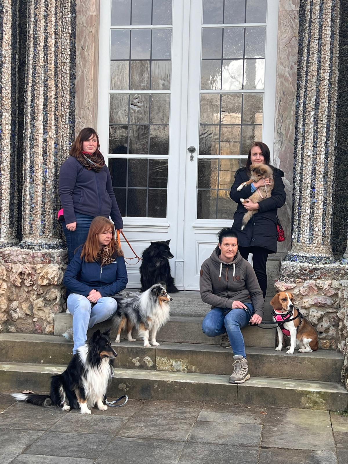 Kleingruppe von Hunden in entspannter Szene