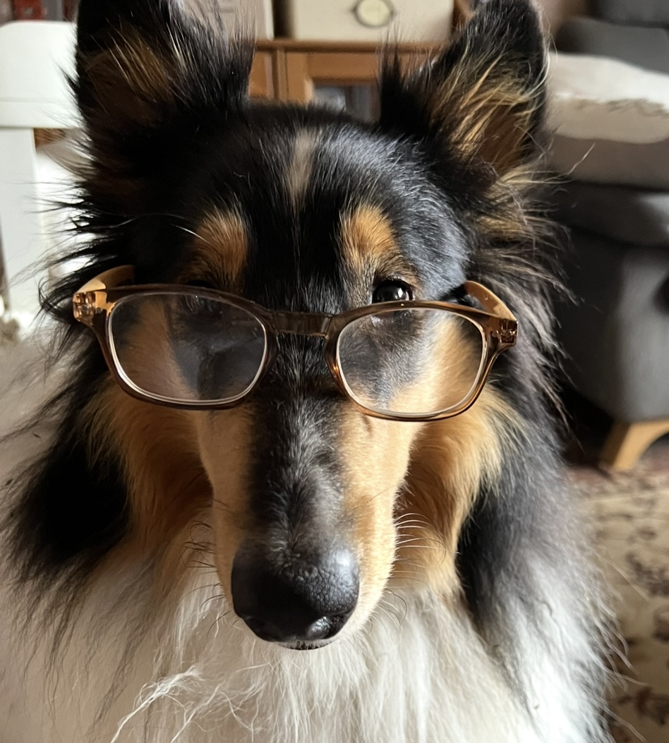 Murphy stellt sich vor