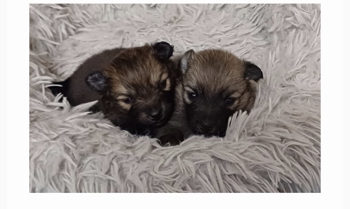 Aufwärmen nach dem Spielen