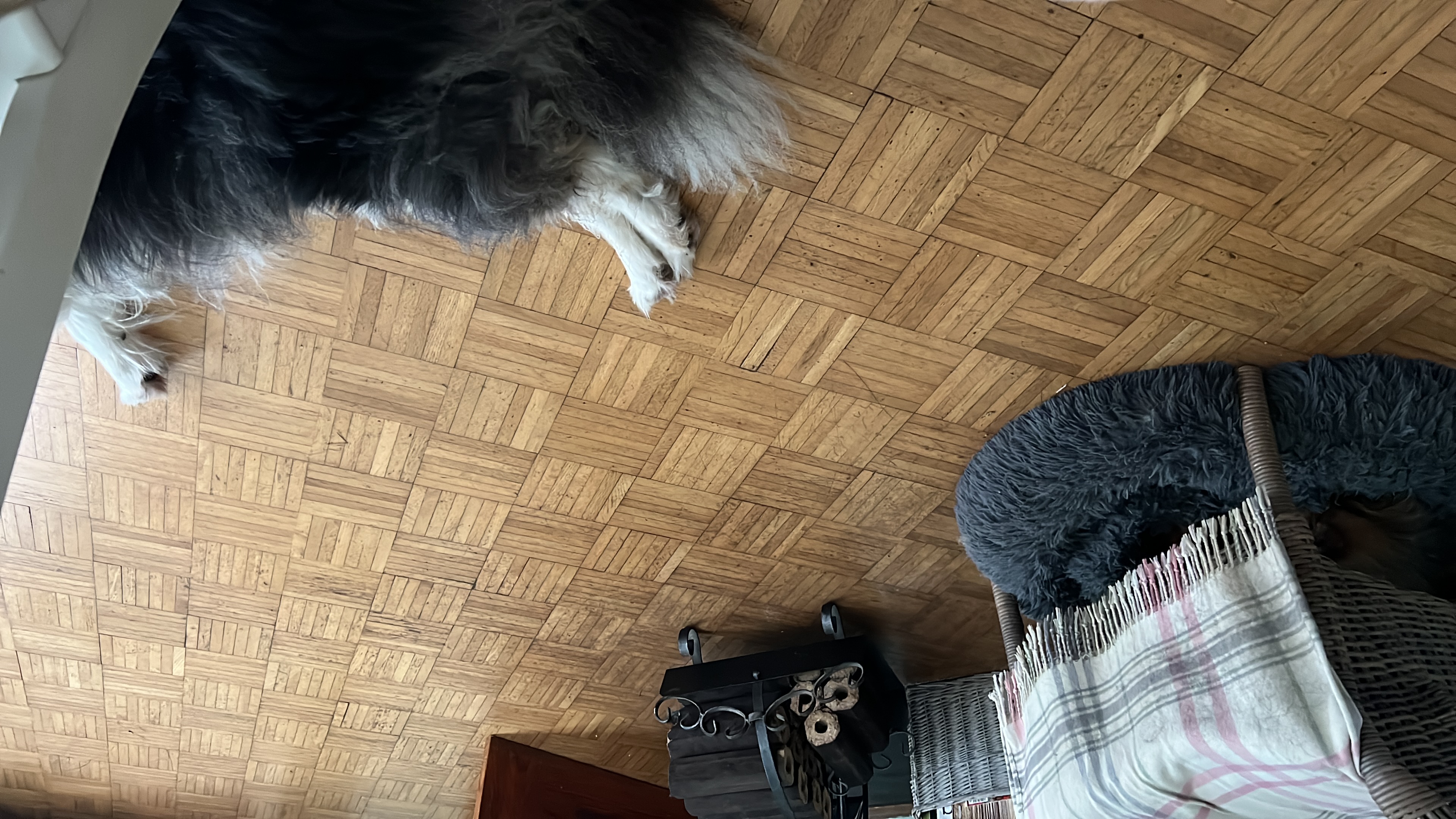 Murphy´s Weisheiten – Jahreswechsel